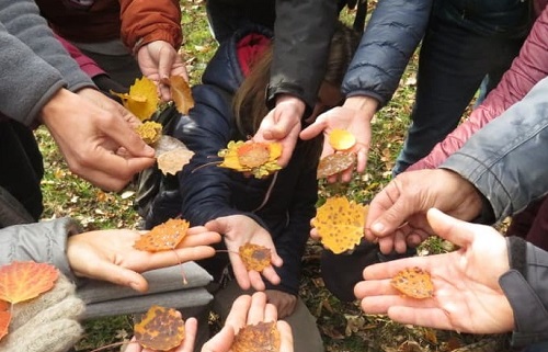 Groupe de travail santé mentale environnement