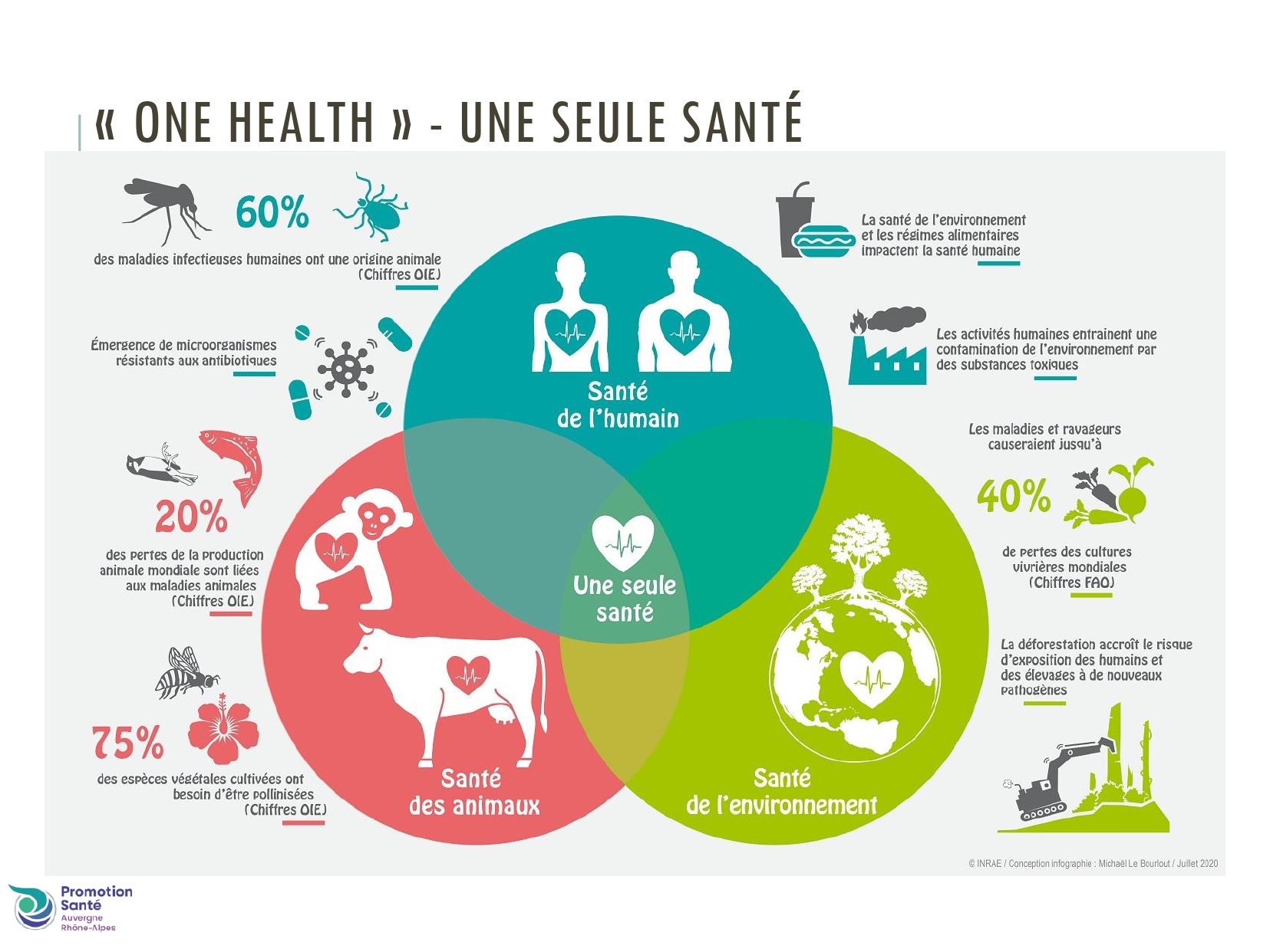 Environnement, santé : tout est lié !